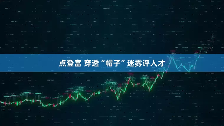 点登富 穿透“帽子”迷雾评人才