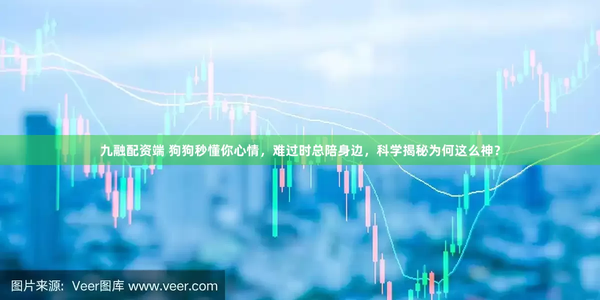 九融配资端 狗狗秒懂你心情，难过时总陪身边，科学揭秘为何这么神？