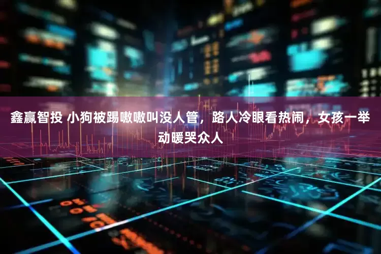 鑫赢智投 小狗被踢嗷嗷叫没人管，路人冷眼看热闹，女孩一举动暖哭众人