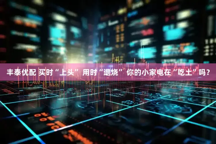 丰泰优配 买时“上头” 用时“退烧” 你的小家电在“吃土”吗？