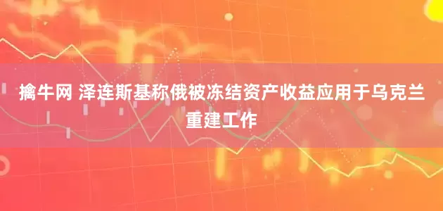 擒牛网 泽连斯基称俄被冻结资产收益应用于乌克兰重建工作