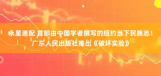 永星速配 首部由中国学者撰写的纽约当下民族志！广东人民出版社推出《破坏实验》