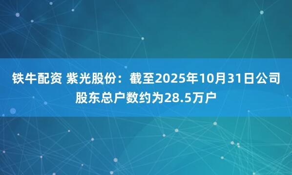 铁牛配资 紫光股份：截至2025年10月31日公司股东总户数约为28.5万户
