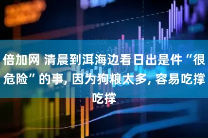 倍加网 清晨到洱海边看日出是件“很危险”的事, 因为狗粮太多, 容易吃撑